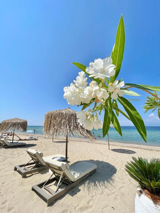 Byblos Mare-The Exclusive Beach Front Villa Skala Sotiros Exteriér fotografie